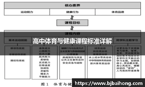 NG体育