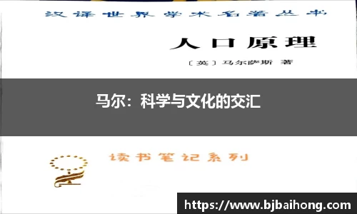 NG体育官网