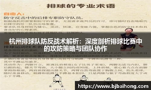 NG体育官网