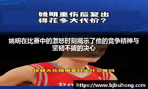 NG体育