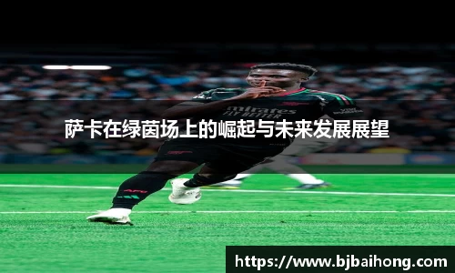 NG体育官网